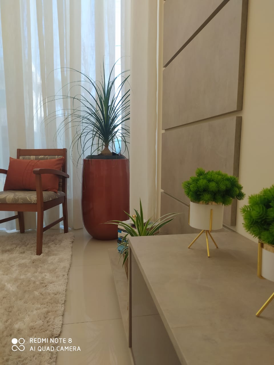 As melhores plantas para sua sala de estar – Flor Garden Vasos